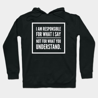 I am responsible for what I say not what you understand. Hoodie